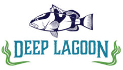 DL logo rev